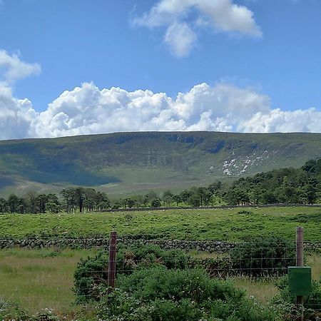 Oakwood Glamping Mourne Mountains Hotel Moyad Buitenkant foto