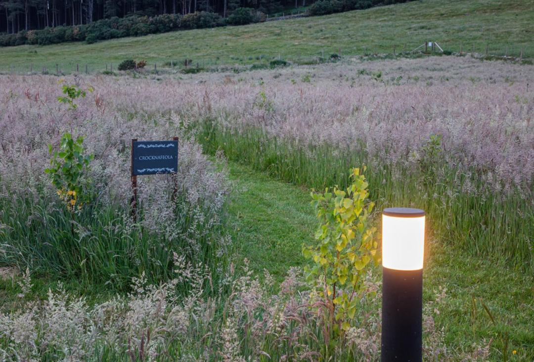 Oakwood Glamping Mourne Mountains Hotel Moyad Buitenkant foto